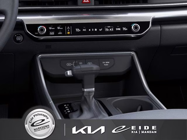 2026 Panthera Metal Kia Carnival SX FWD Van