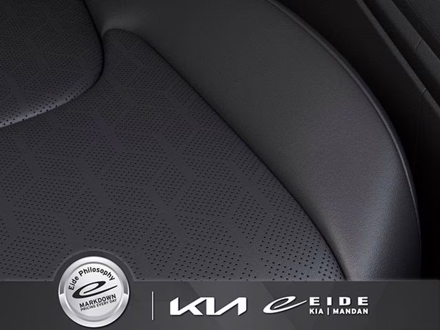 2026 Panthera Metal Kia Carnival SX FWD Van