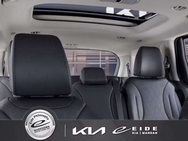 2026 Panthera Metal Kia Carnival SX FWD Van