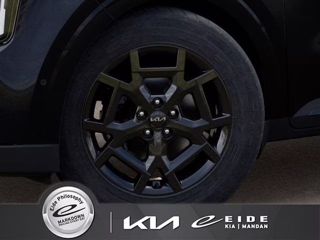 2026 Panthera Metal Kia Carnival SX FWD Van