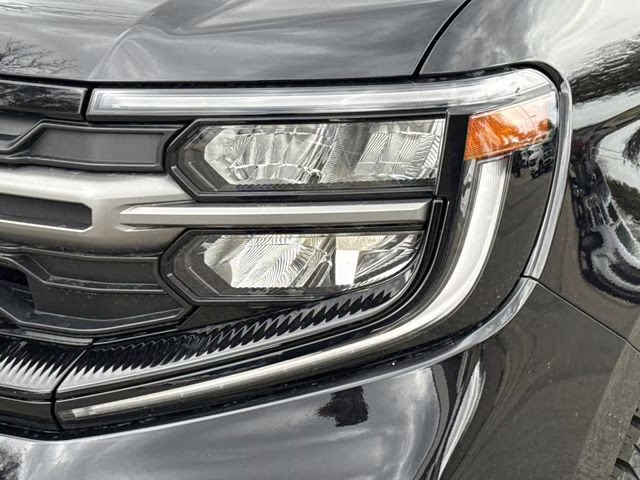 2026 Black Metallic Ford Expedition Tremor 4X4 SUV