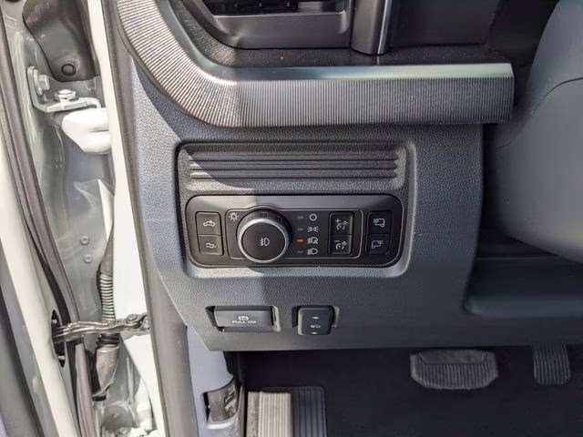 2026 Avalanche Ford Super Duty F-250 SRW Platinum 4X4 Truck