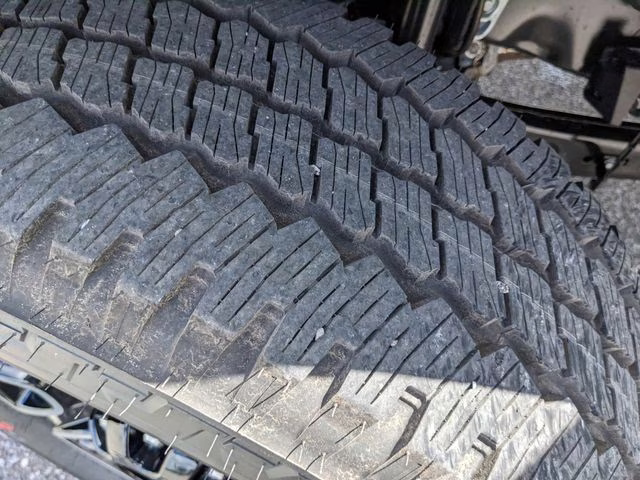 2026 Avalanche Ford Super Duty F-250 SRW Platinum 4X4 Truck