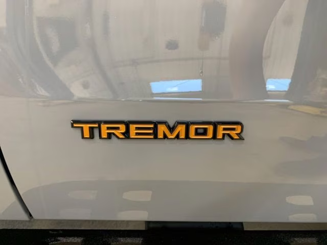 2026 Glacier Gray Metallic Tri-Coat Ford Expedition Tremor 4X4 SUV