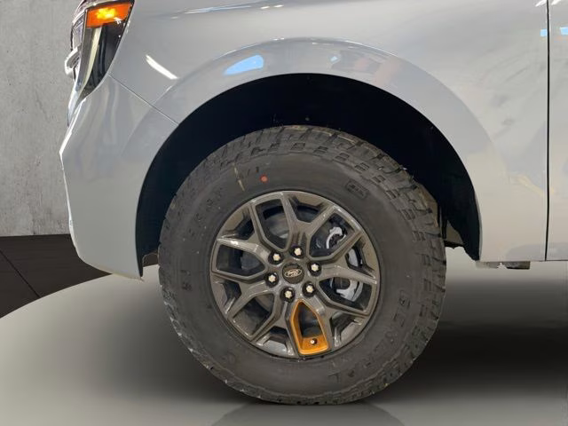 2026 Glacier Gray Metallic Tri-Coat Ford Expedition Tremor 4X4 SUV