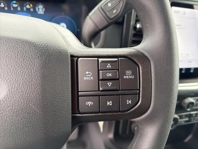 2026 Agate Black Metallic Ford F-150 STX 4X4 Truck