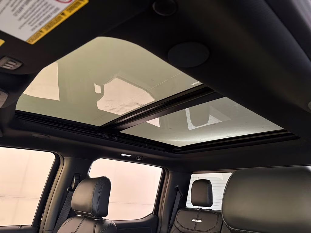 2026 Agate Black Metallic Ford Super Duty F-250 SRW Platinum 4X4 Truck