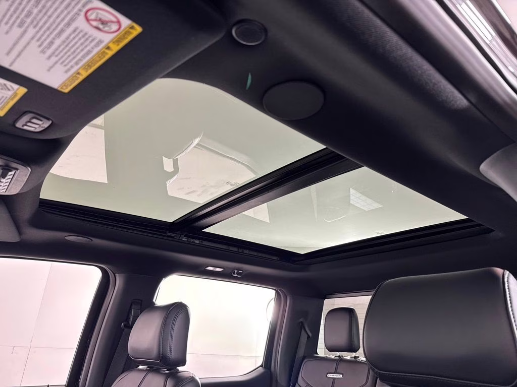 2026 Agate Black Metallic Ford Super Duty F-250 SRW Platinum 4X4 Truck