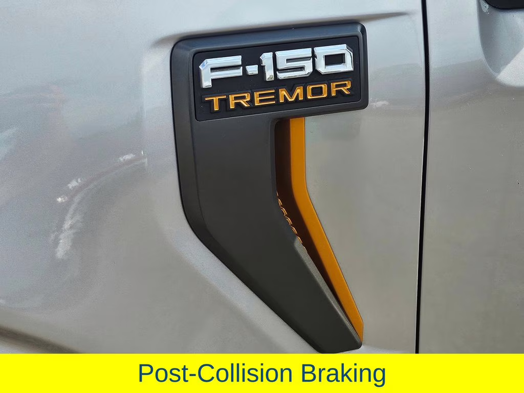 2022 Iconic Silver Metallic Ford F-150 Tremor 4X4 Truck