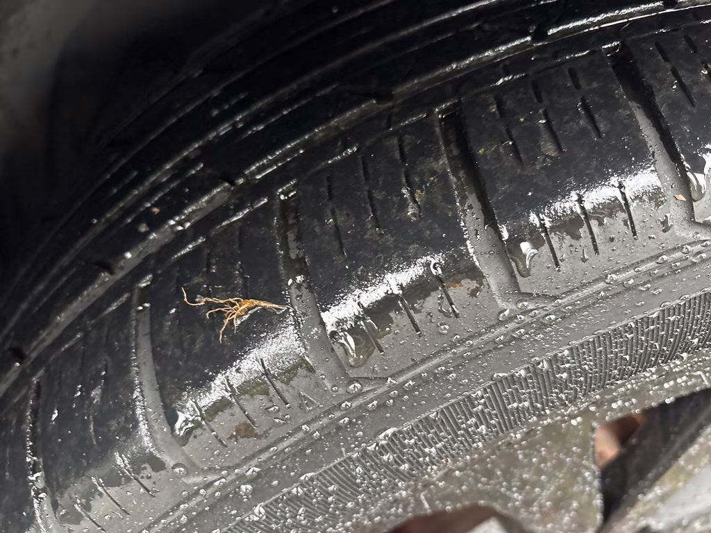 2020 Dark Blue Pearl Subaru Forester Sport AWD SUV