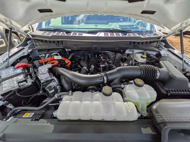 2025 Star White Metallic Tc Ford F-150 King Ranch 4X4 Truck