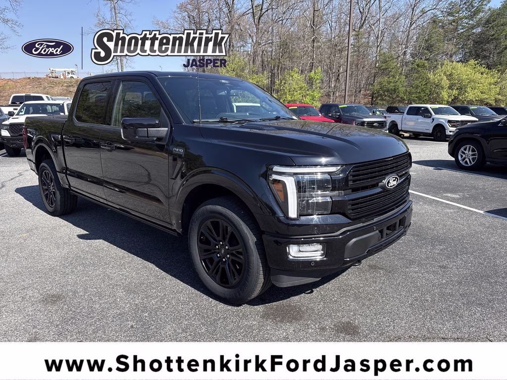 2024 Agate Black Metallic Ford F-150 Platinum 4X4 Truck