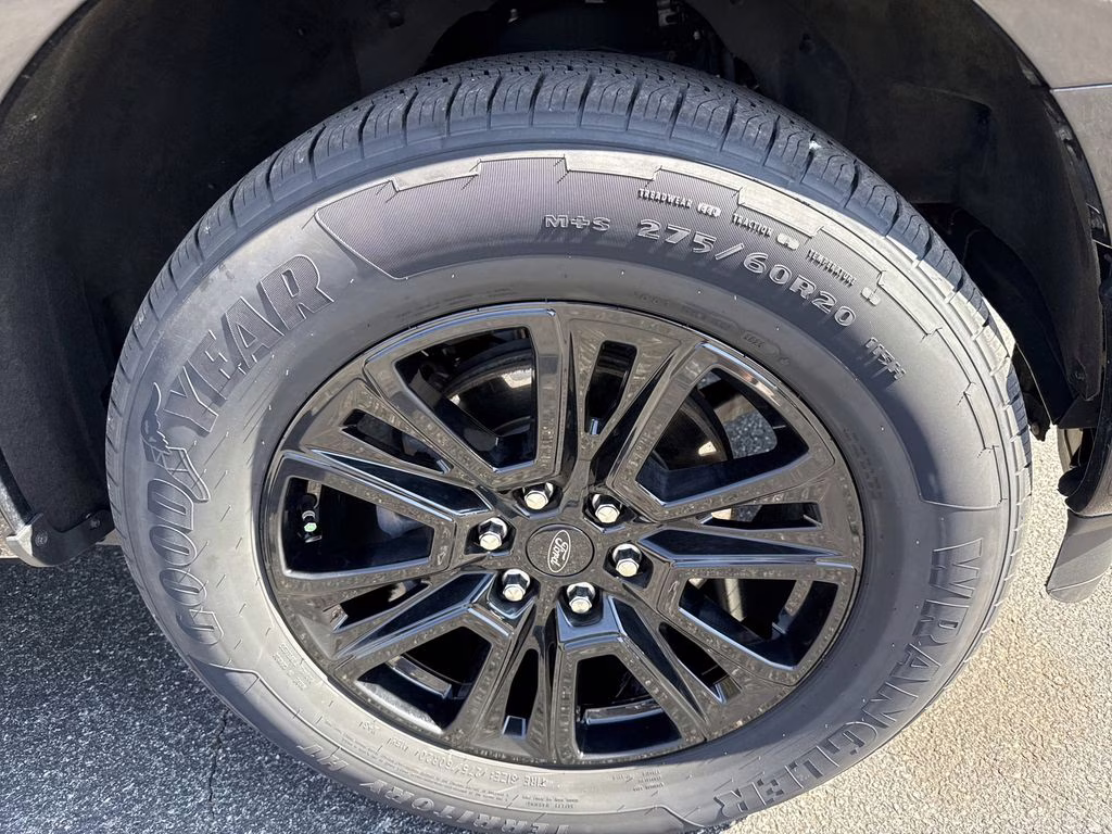 2024 Agate Black Metallic Ford F-150 Platinum 4X4 Truck