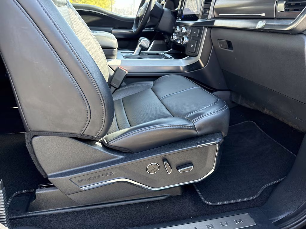 2024 Agate Black Metallic Ford F-150 Platinum 4X4 Truck