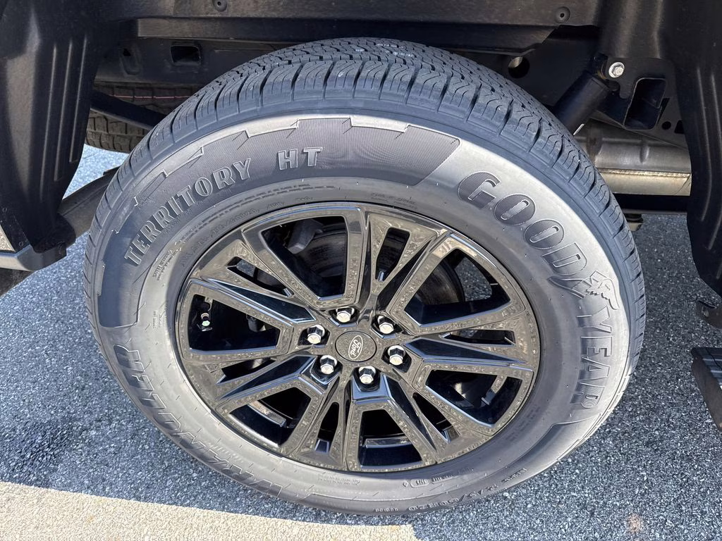 2024 Agate Black Metallic Ford F-150 Platinum 4X4 Truck