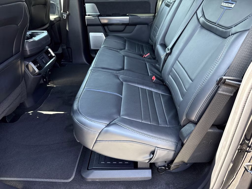 2024 Agate Black Metallic Ford F-150 Platinum 4X4 Truck