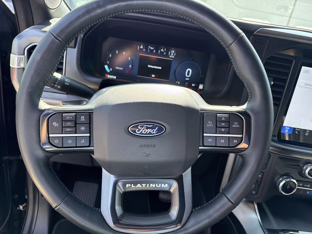 2024 Agate Black Metallic Ford F-150 Platinum 4X4 Truck