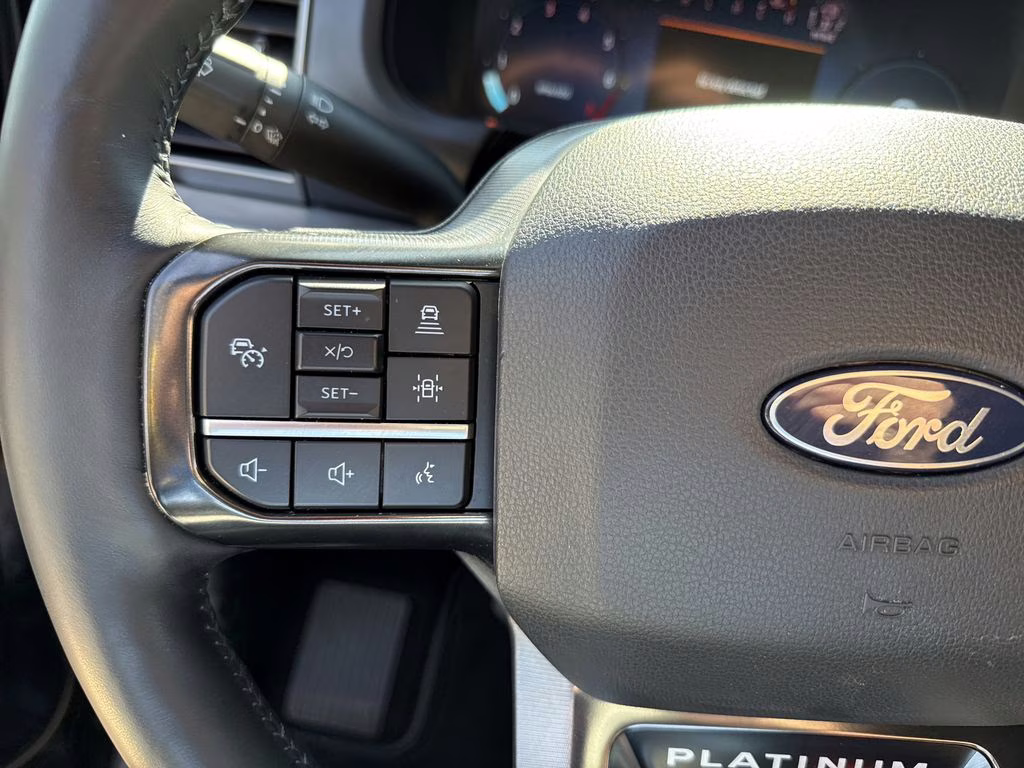 2024 Agate Black Metallic Ford F-150 Platinum 4X4 Truck