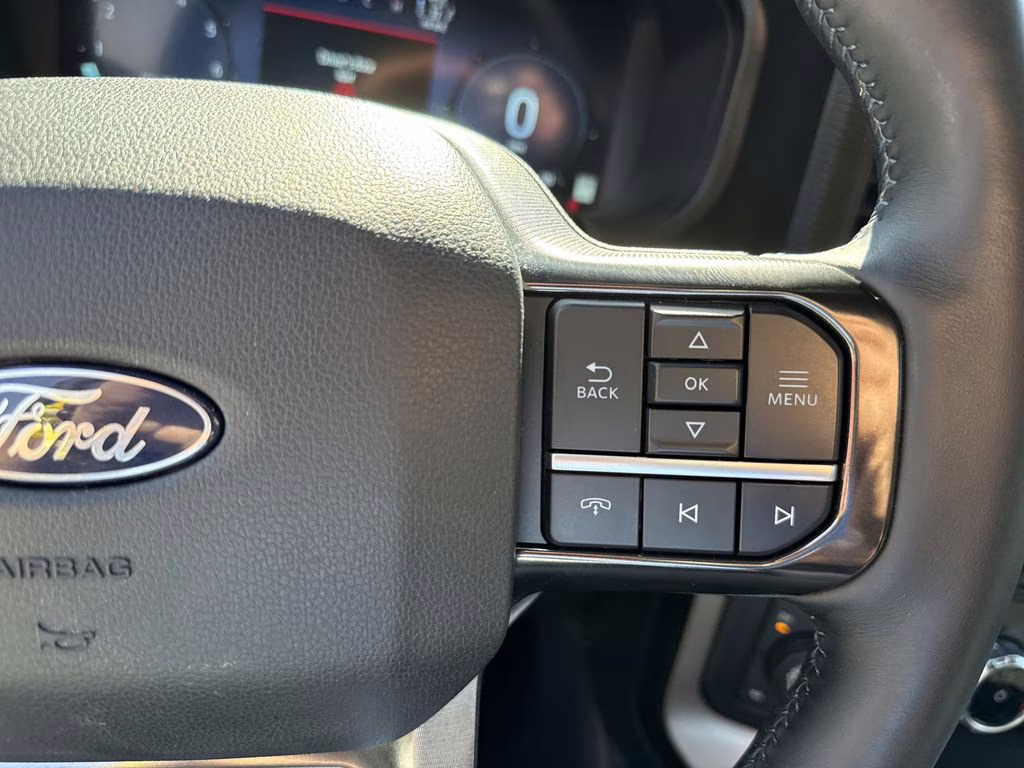 2024 Agate Black Metallic Ford F-150 Platinum 4X4 Truck