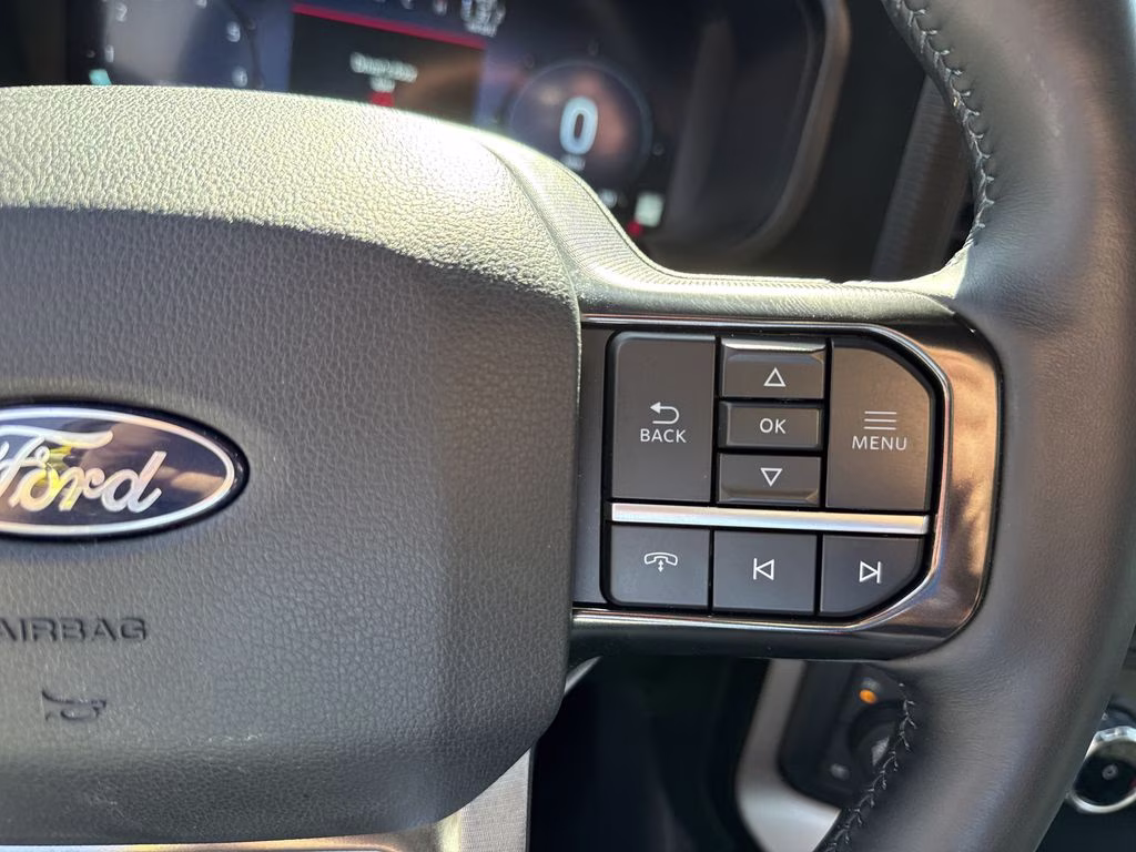 2024 Agate Black Metallic Ford F-150 Platinum 4X4 Truck