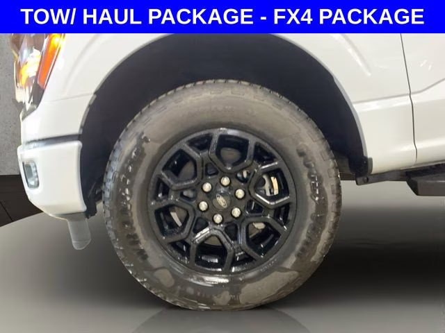 2025 Ford F-150 XLT - Photo 15