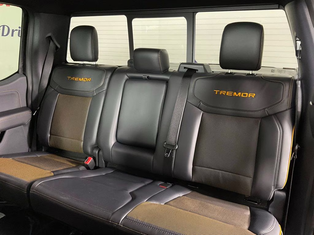 2026 Black Metallic Ford F-150 Tremor 4X4 Truck