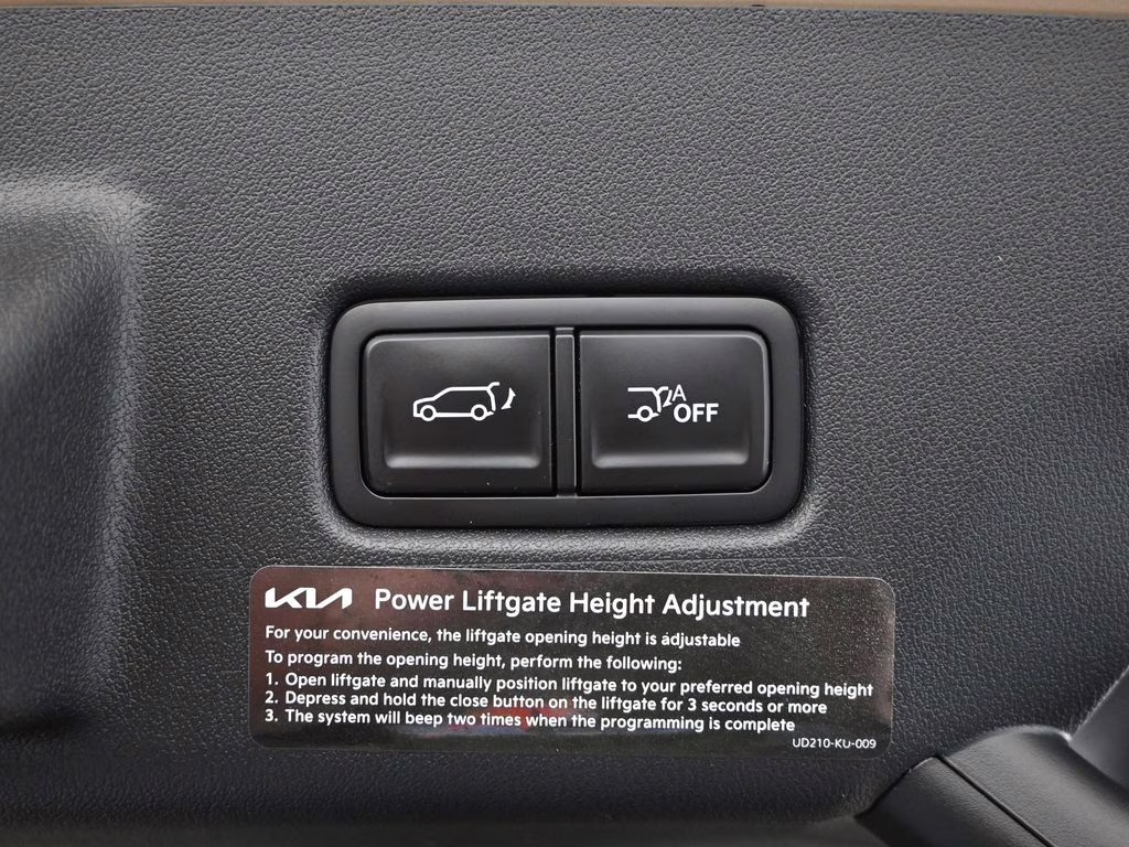 2027 Terrain Brown Kia Telluride X-Line EX AWD SUV