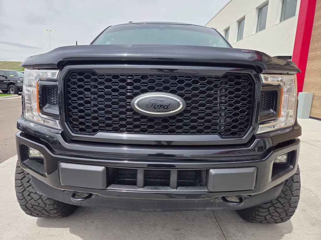 2019 Black Metallic Ford F-150 XL 4X4 Truck