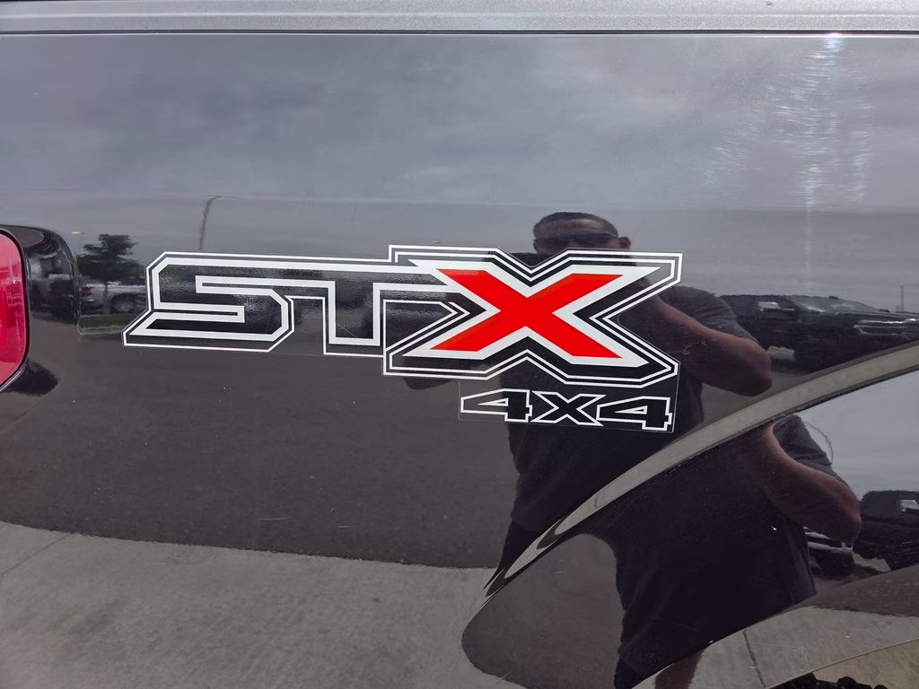 2019 Black Metallic Ford F-150 XL 4X4 Truck