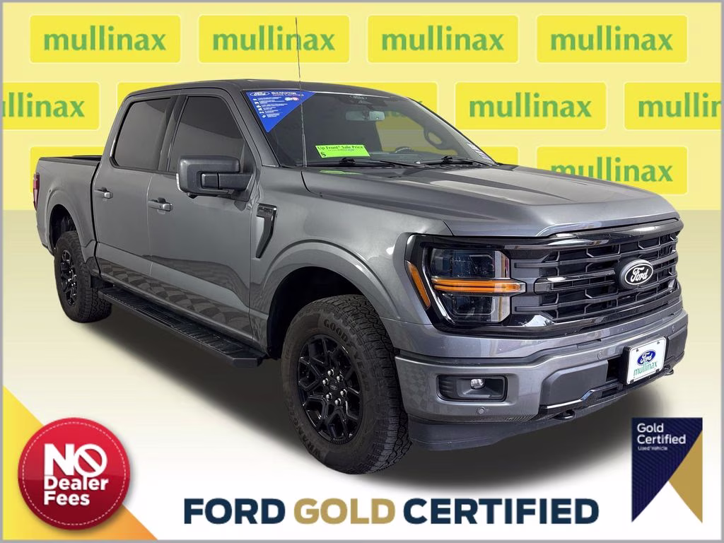 2024 Gray Ford F-150 XLT 4X4 Truck