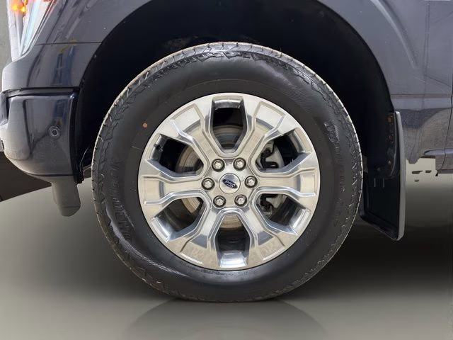 2021 Antimatter Blue Metallic Ford F-150 Platinum 4X4 Truck