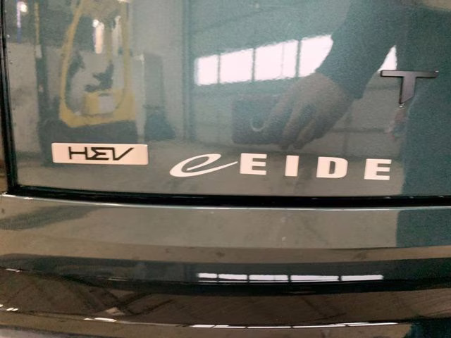 2027 Black Jade Green Kia Telluride Hybrid X-Line SX AWD SUV