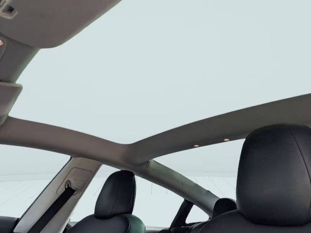 2023 Gray Tesla Model 3 Performance AWD Sedan