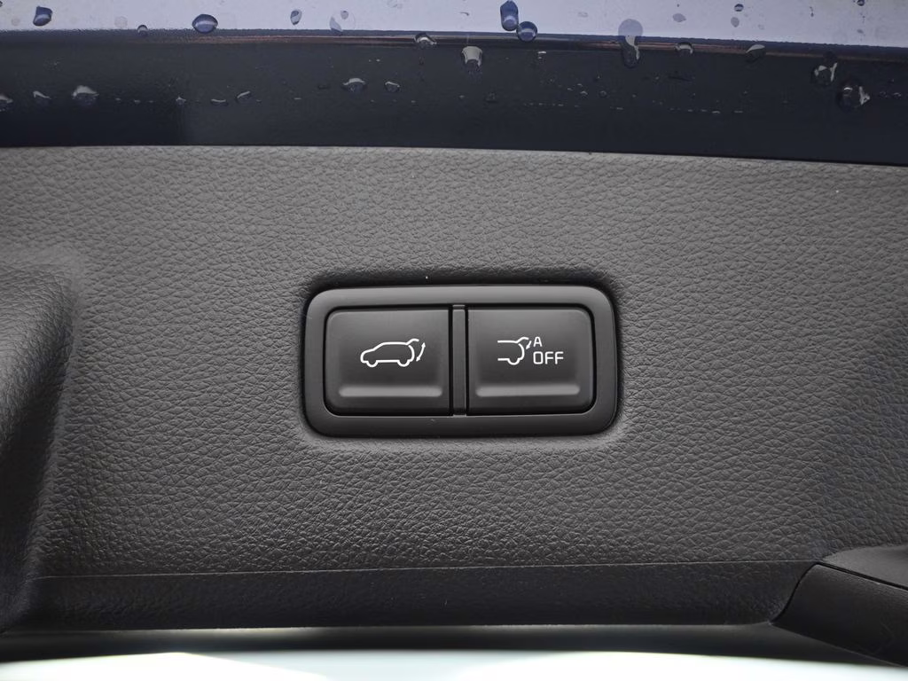 2026 Deep Chroma Blue Kia Carnival Hybrid EX FWD Van