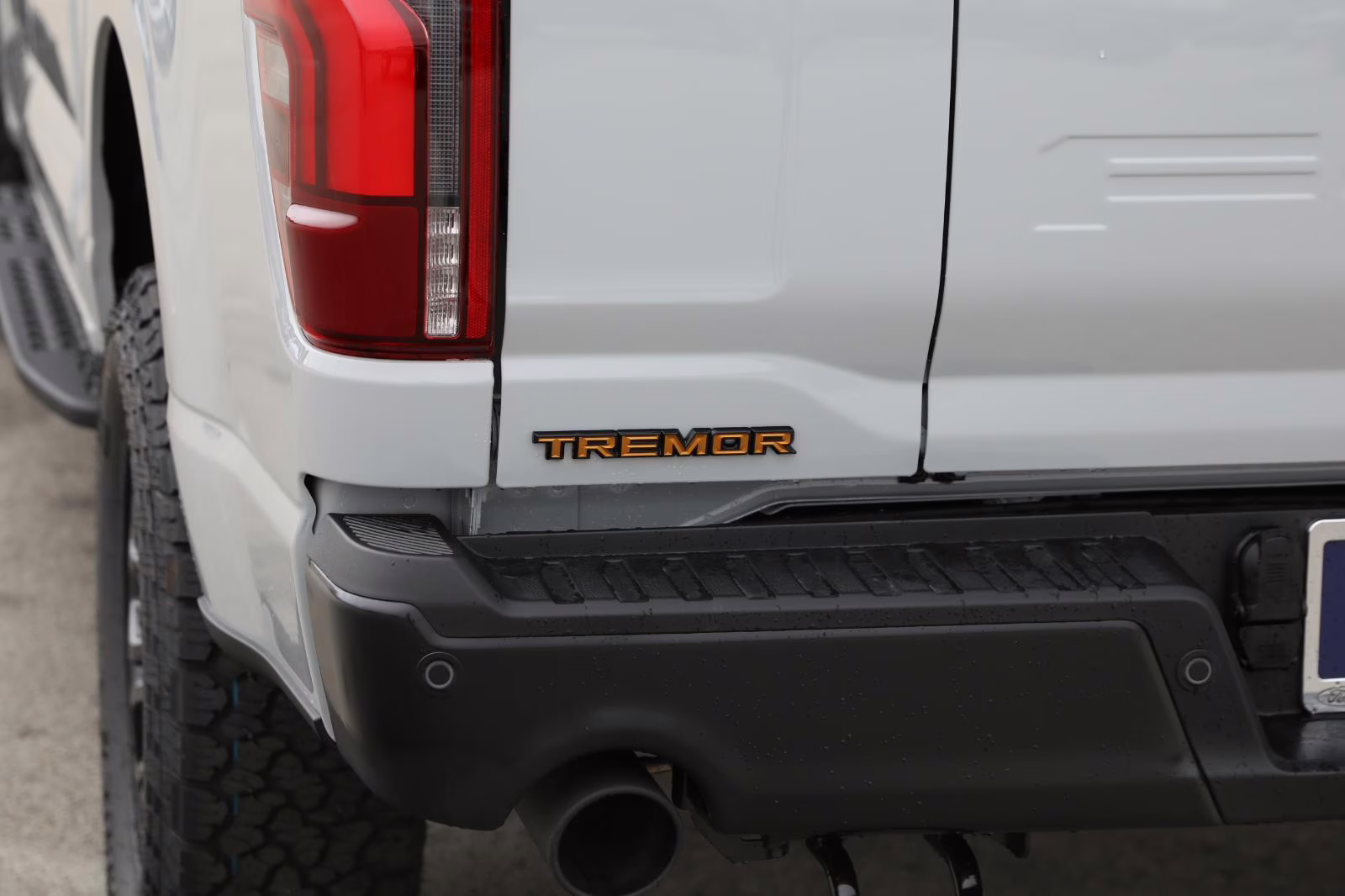 2026 Avalanche Gray Ford F-150 Tremor 4X4 Truck