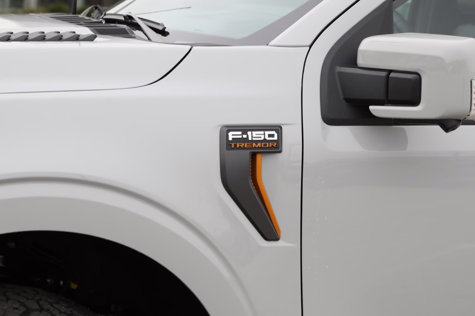 2026 Avalanche Gray Ford F-150 Tremor 4X4 Truck