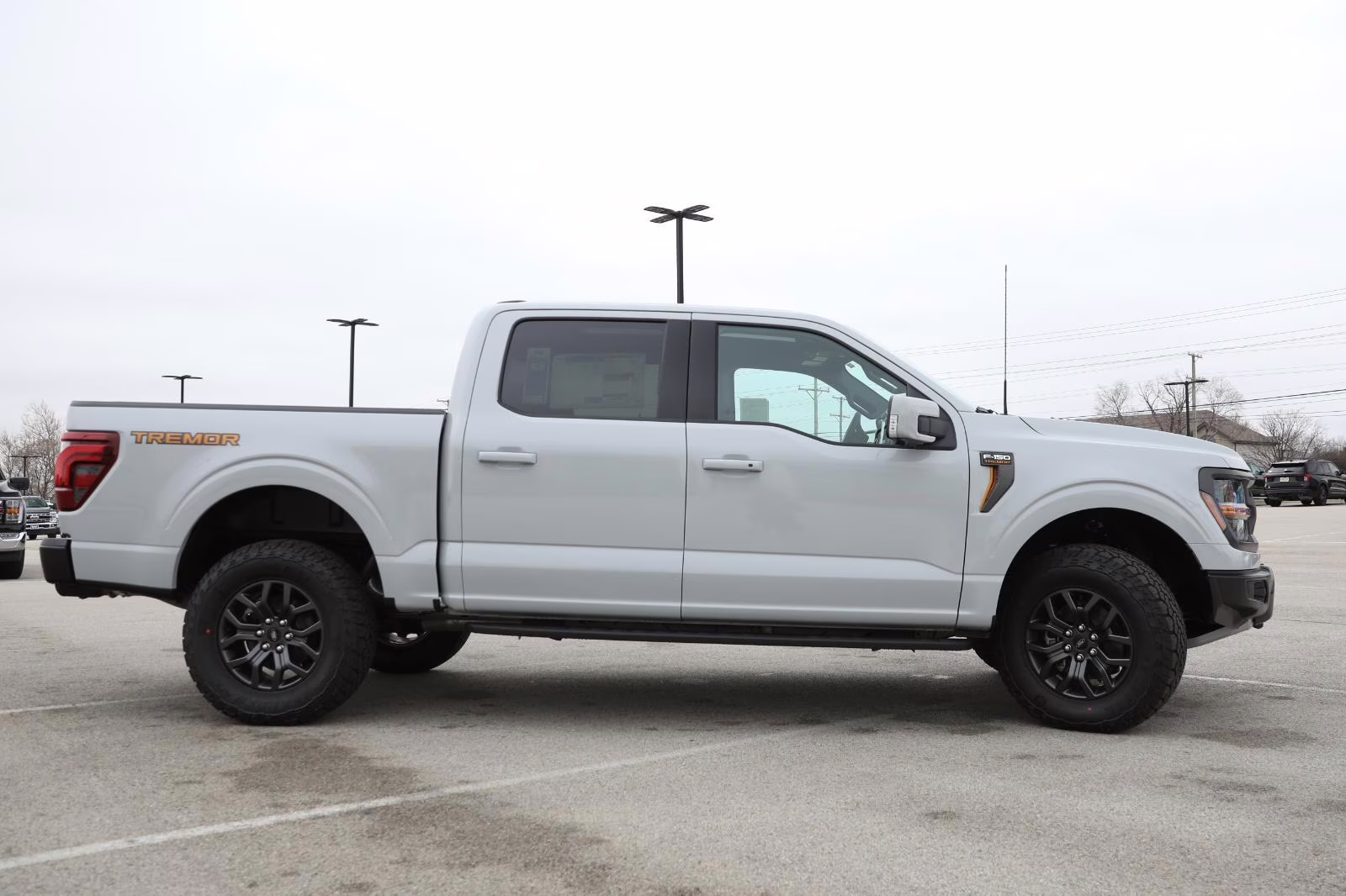 2026 Avalanche Gray Ford F-150 Tremor 4X4 Truck