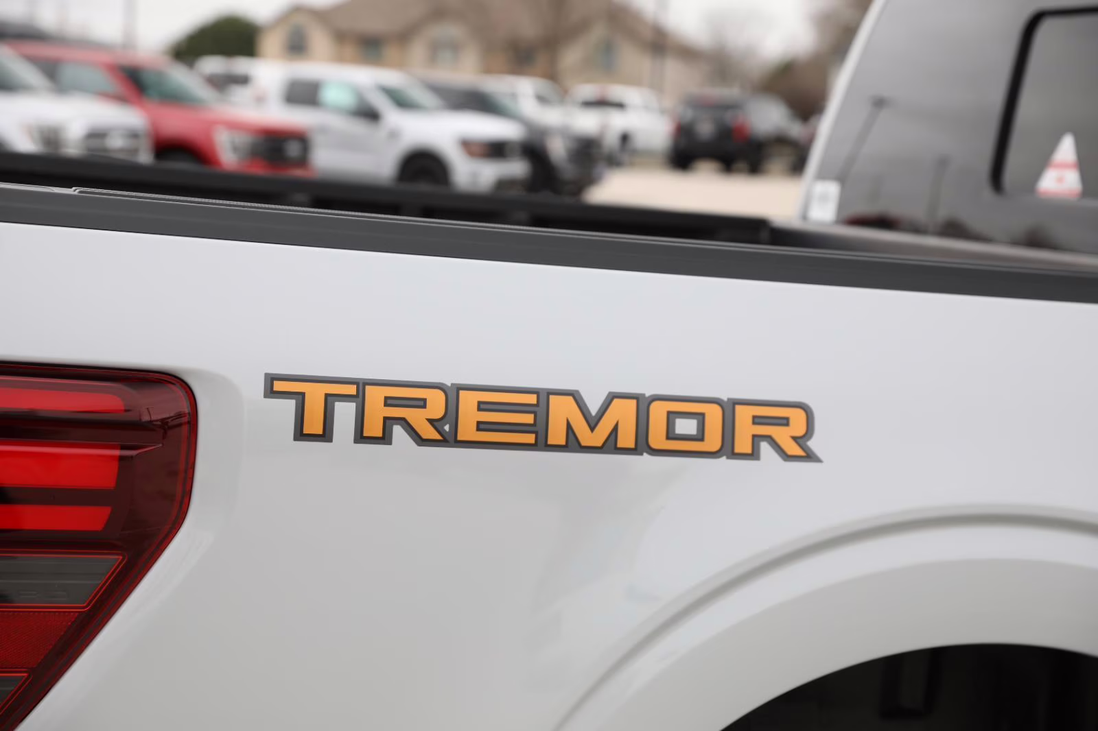 2026 Avalanche Gray Ford F-150 Tremor 4X4 Truck