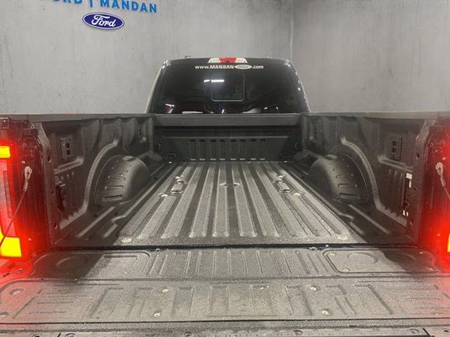 2025 Agate Black Metallic Ford Super Duty F-450 DRW Platinum 4X4 Truck