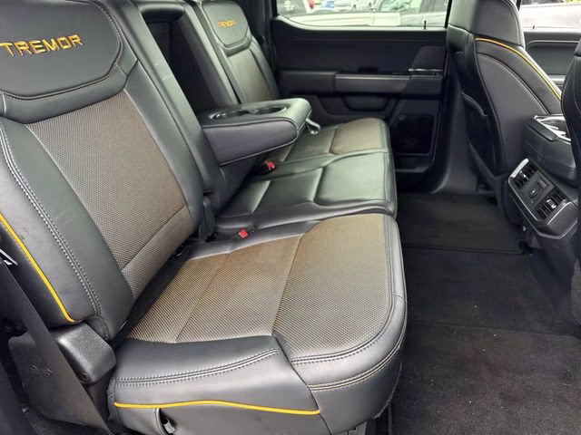 2026 Avalanche Ford F-150 Tremor 4X4 Truck