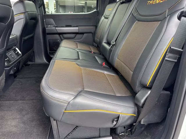 2026 Avalanche Ford F-150 Tremor 4X4 Truck