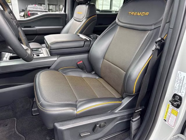 2026 Avalanche Ford F-150 Tremor 4X4 Truck
