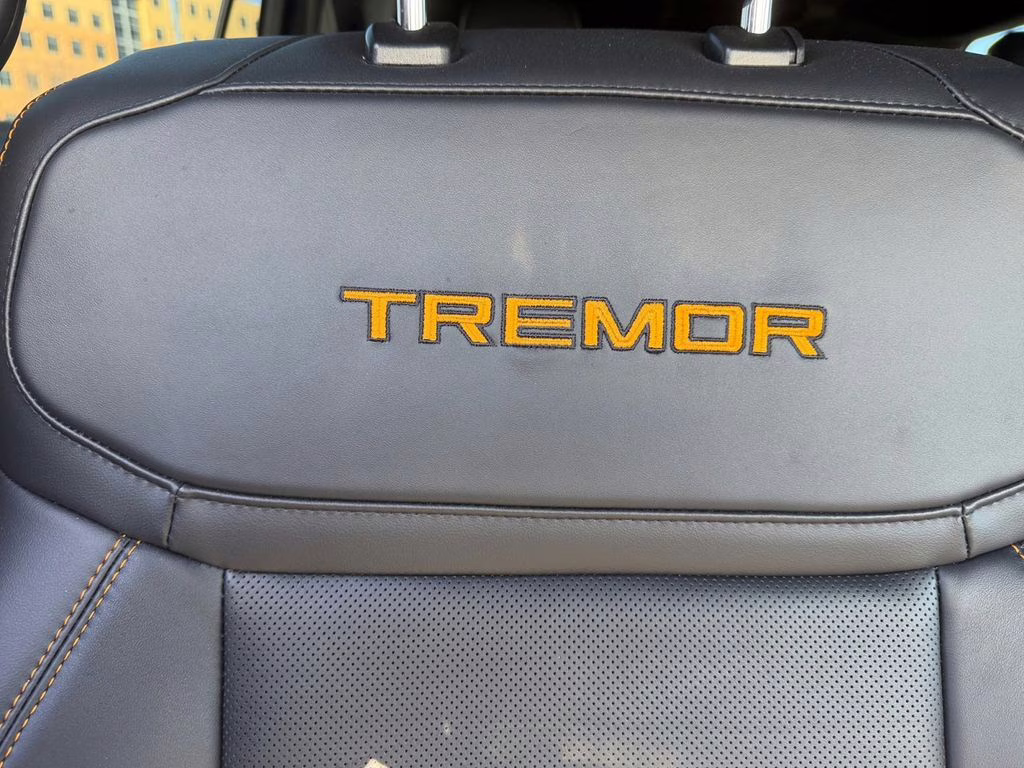 2025 Dark Matter Gray Metallic Ford Expedition Tremor 4X4 SUV