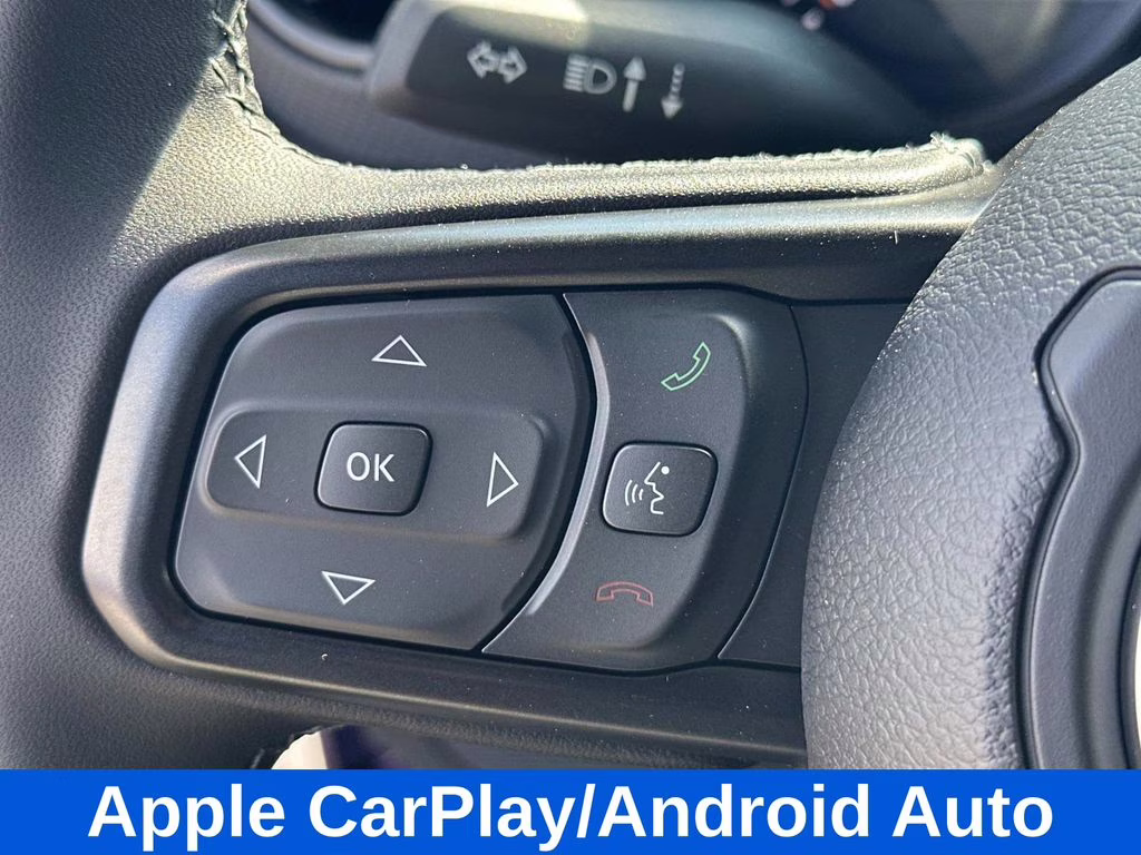 2026 Reign Jeep Wrangler Rubicon X 4X4 SUV