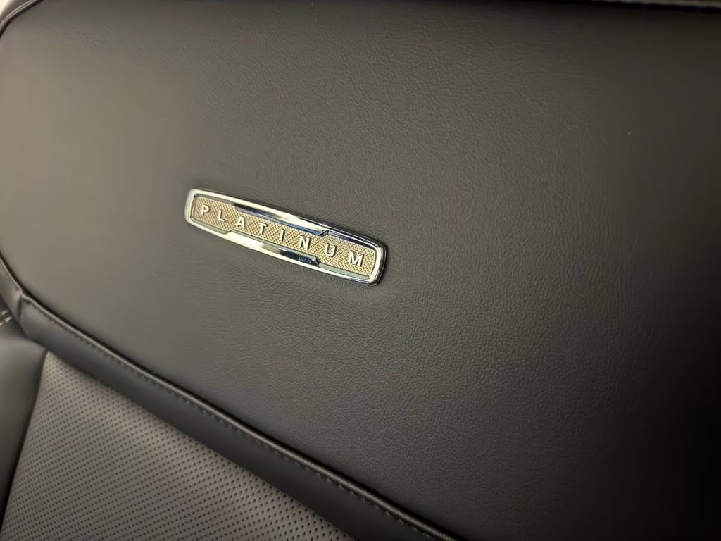 2026 Agate Black Metallic Ford Expedition Platinum 4X4 SUV