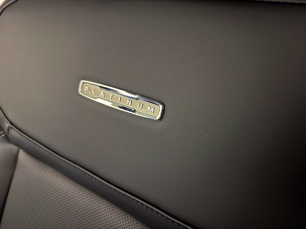 2026 Agate Black Metallic Ford Expedition Platinum 4X4 SUV