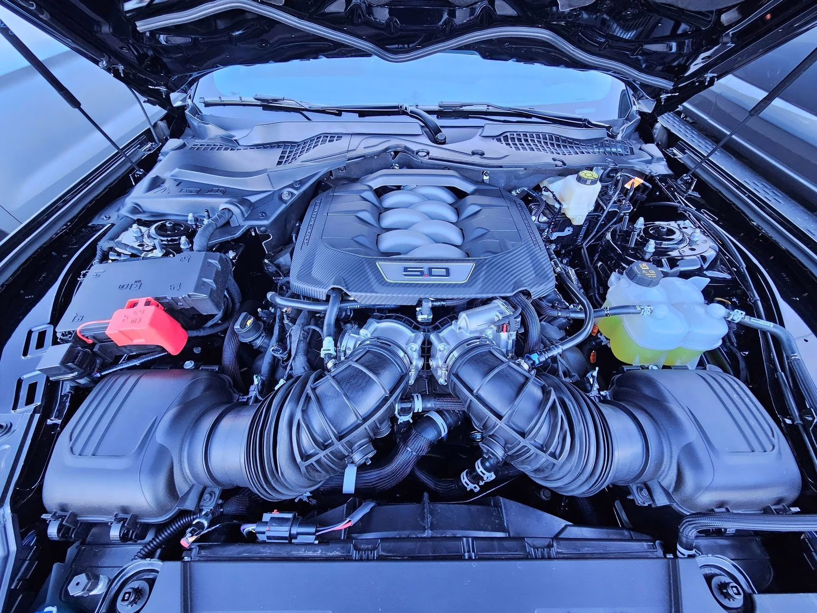 2026 Shadow Black Ford Mustang GT Premium RWD Coupe