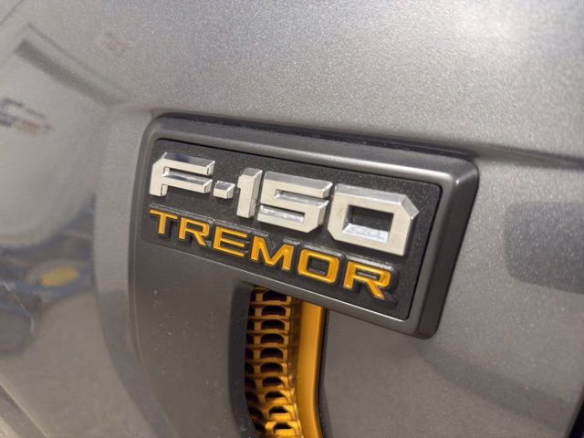 2025 Carbonized Gray Metallic Ford F-150 Tremor 4X4 Truck