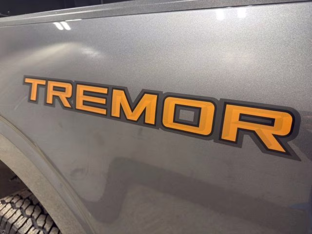 2025 Carbonized Gray Metallic Ford F-150 Tremor 4X4 Truck