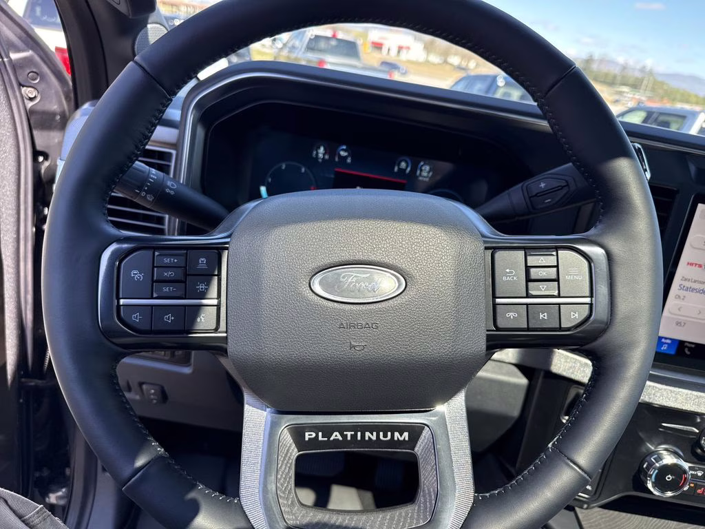 2025 Carbonized Gray Metallic Ford Super Duty F-250 SRW Platinum 4X4 Truck